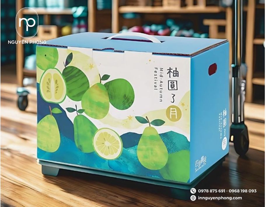 Mẫu thùng carton có quai cầm